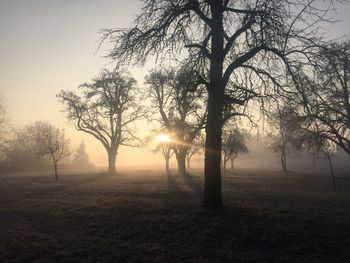 Silhouette trees on field during winter