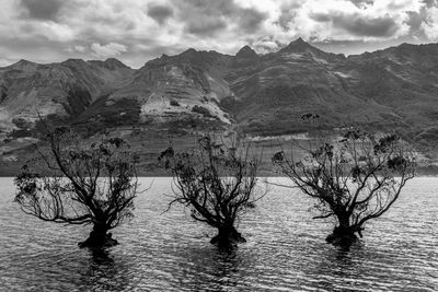 Scenic view of lake and mountains against sky