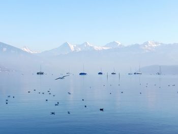 Scenic view of lake against clear sky