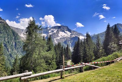 Scenic view of trees and mountains against sky