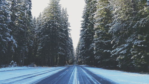 Road passing through snow covered landscape