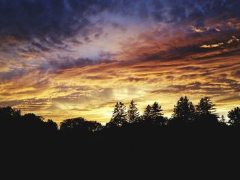 Silhouette trees against sky during sunset