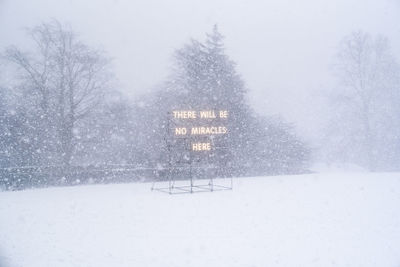 Illuminated signboard against bare trees during snowfall