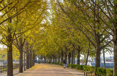 Rear view of people walking on footpath in park