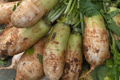 High angle view of radishes for sale at market stall