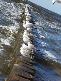 High angle view of pier on beach