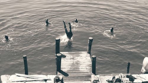 High angle view of people on lake