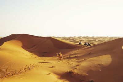 Scenic view of desert against clear sky