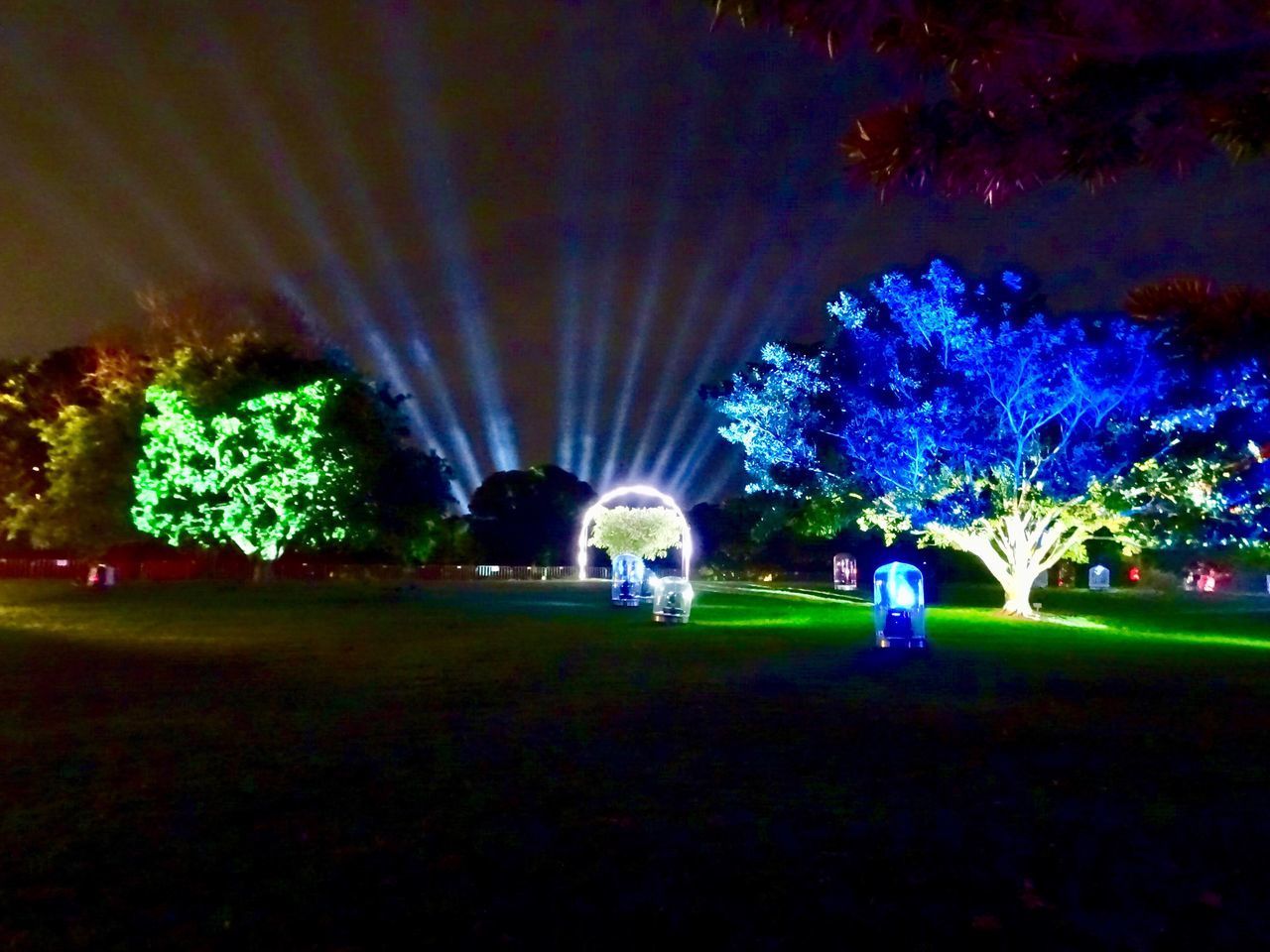 ILLUMINATED TREES IN PARK