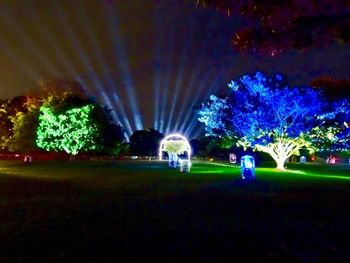 View of illuminated trees at night