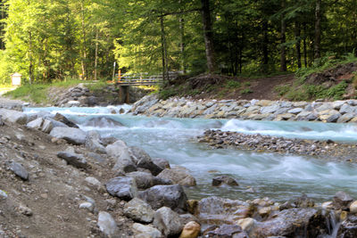 Stream flowing through rocks in forest