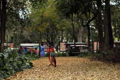 Trees and plants on field in park