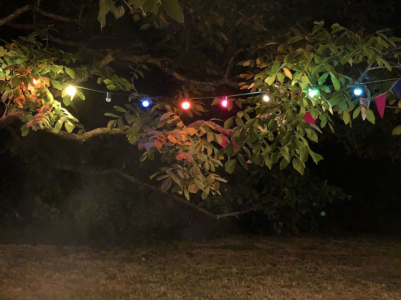 ILLUMINATED STREET LIGHT ON FIELD AT NIGHT