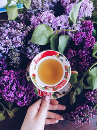 Close-up of hand holding tea cup