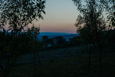 Silhouette trees on field against sky during sunset