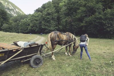 Rear view of woman with backpack standing by horse cart on field