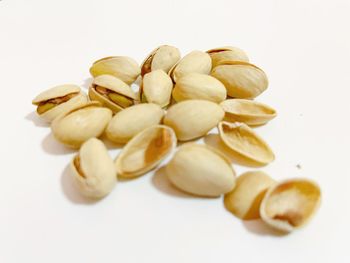 High angle view of eggs against white background