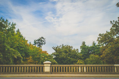 View of trees against cloudy sky