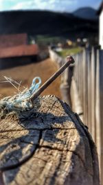 Close-up of rope on wooden post