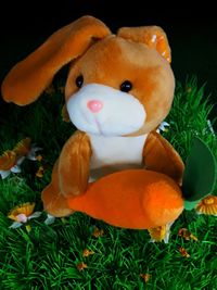 Close-up of stuffed toy