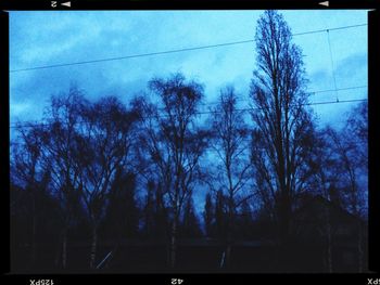 Low angle view of bare trees against sky