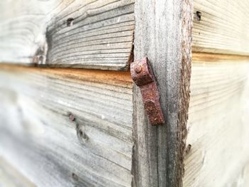 Close-up of wood