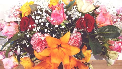 High angle view of multi colored flowering plant