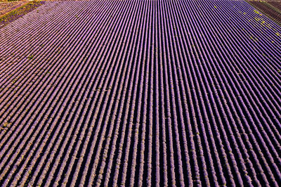 Full frame shot of metal grate