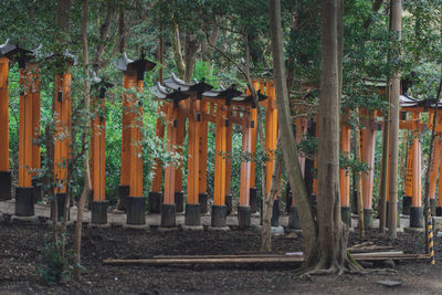 Panoramic view of cross in forest