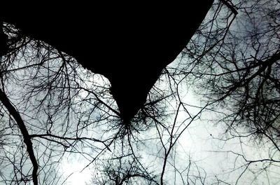 Low angle view of bare trees against clear sky