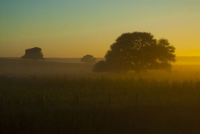 Scenic view of field against sky during sunset