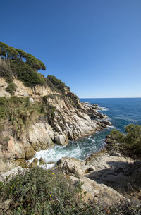 Scenic view of sea against clear sky