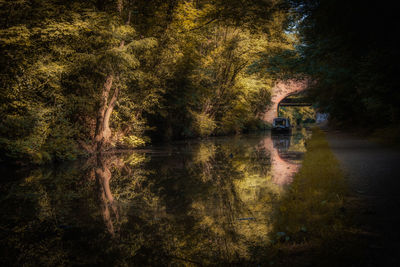 Scenic view of lake in forest