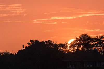 Silhouette trees against orange sky