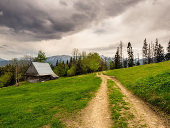 Dirt road amidst plants and buildings against sky