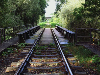 View of railroad tracks along trees
