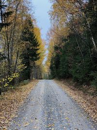 Road amidst trees during autumn