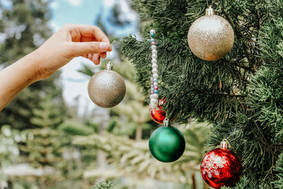 Close-up of hand holding christmas tree