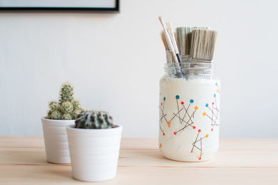 Close-up of potted plant on table