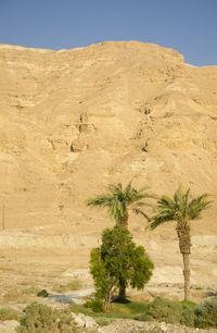 Scenic view of desert against clear sky