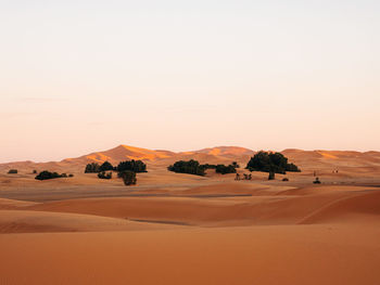 Scenic view of desert against sky during sunset