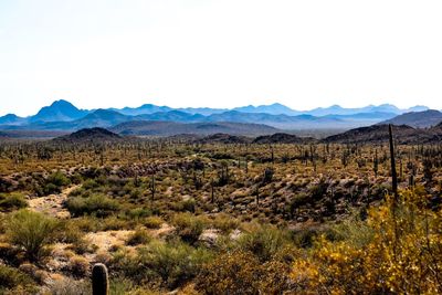 Scenic view of mountains against clear sky