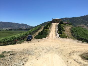 Scenic view of agricultural field against clear blue sky