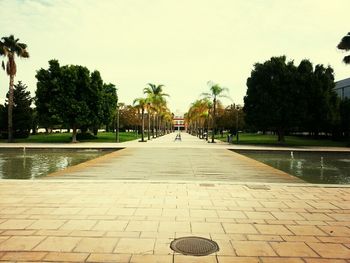 Footpath amidst trees in park