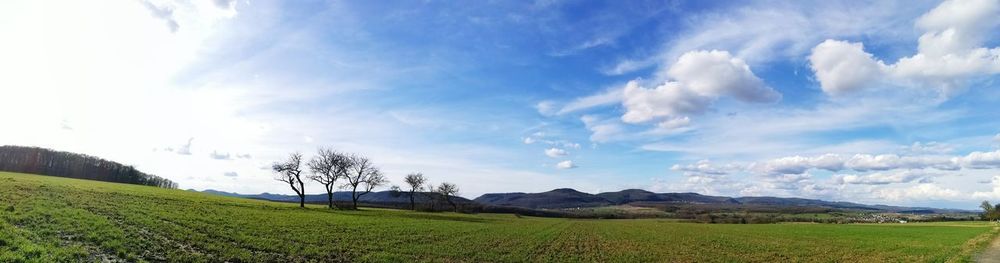 Scenic view of field against sky