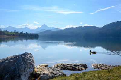 Scenic view of lake and mountains