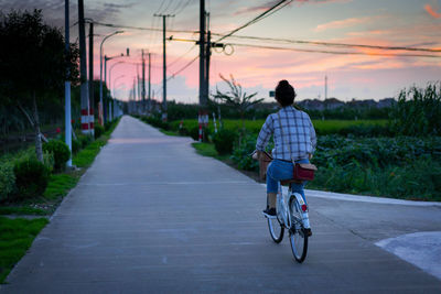 Rear view of man riding bicycle on road