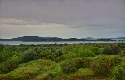 Scenic view of field against sky