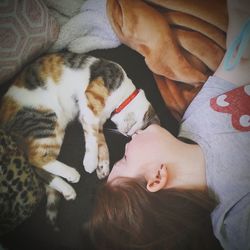 High angle view of cat sleeping on bed