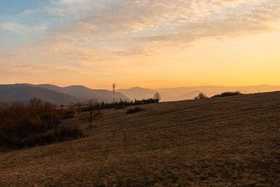 Scenic view of field against sky during sunset